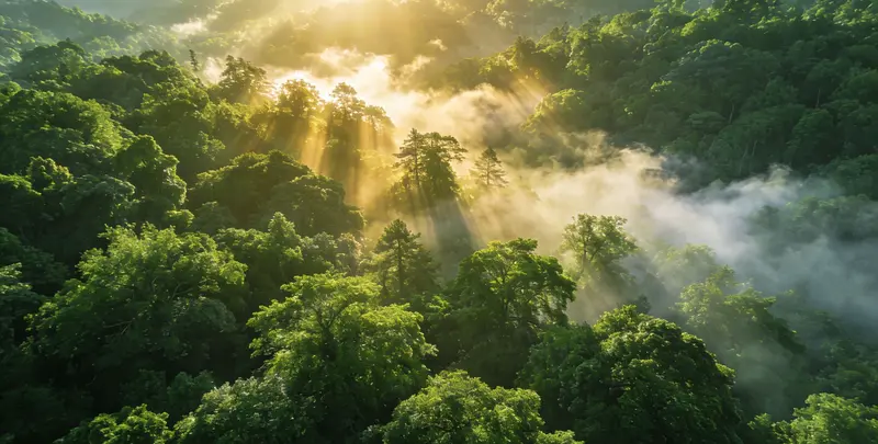 六盘水肺癌靶向120基因检测（组织）图片1