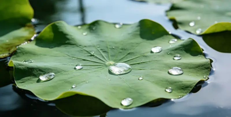 六盘水乳腺癌21基因mRNA表达分析图片1