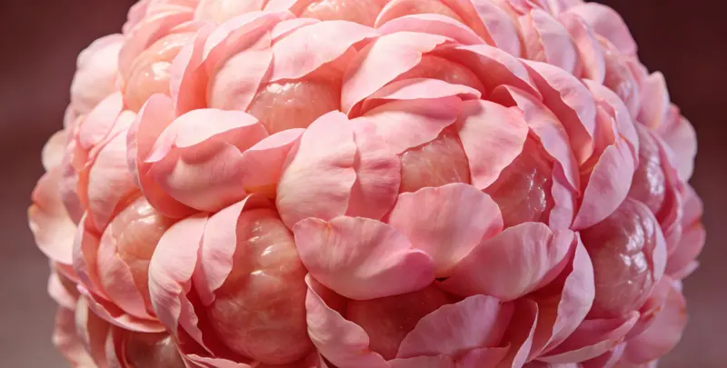 六盘水BRCA1/2乳腺癌卵巢癌基因检测图片1